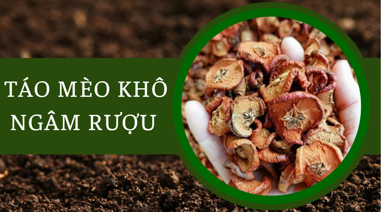 Táo mèo khô ngâm rượu, sắc nước uống